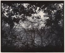 Sam2022.7.3_1.1_final